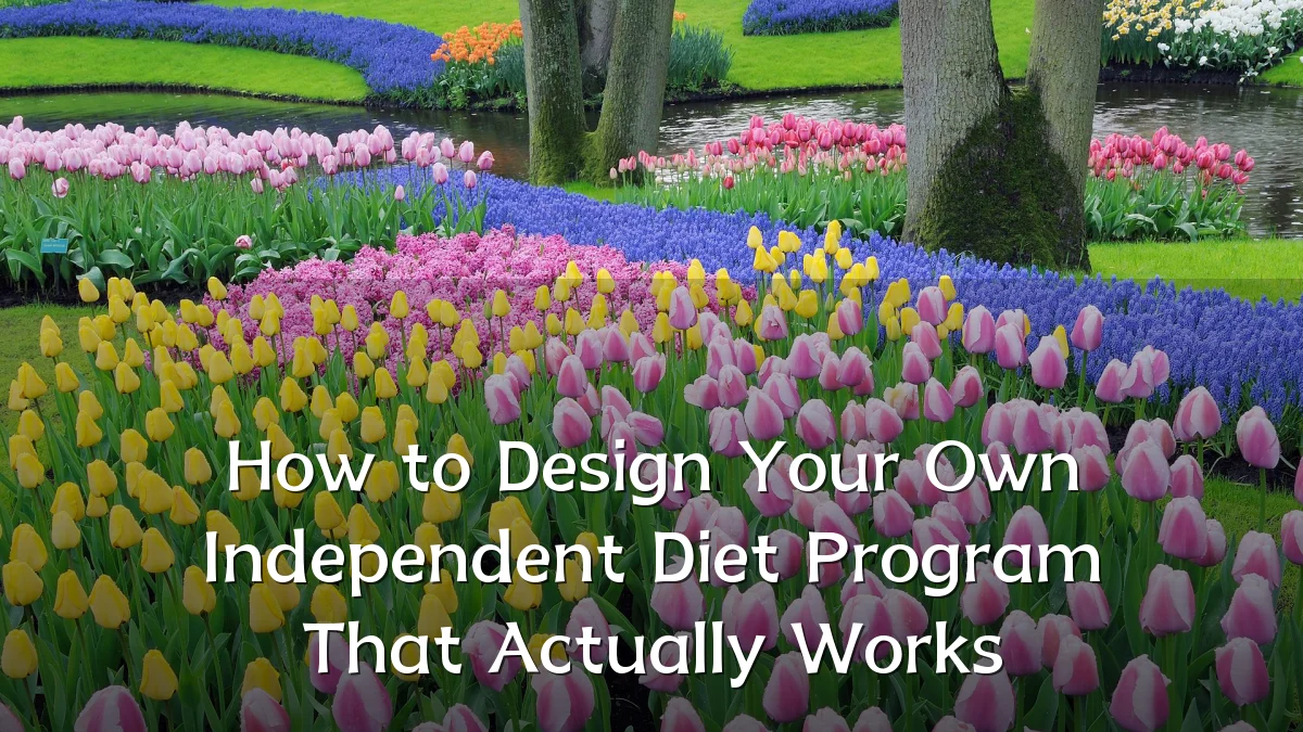 How to Design Your Own Independent Diet Program That Actually Works