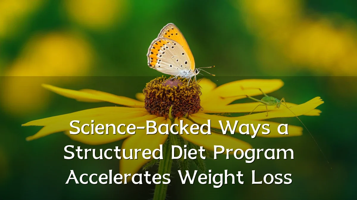 Science-Backed Ways a Structured Diet Program Accelerates Weight Loss